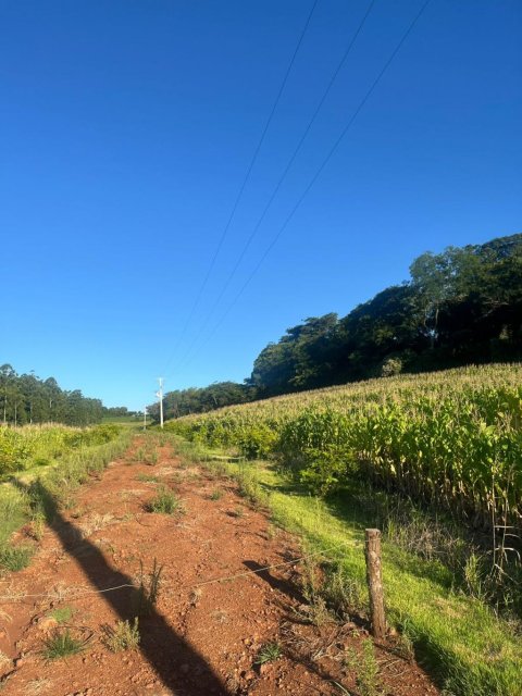Área Rural 48.400 m² (2 Alqueires) - Linha Ajuricaba
