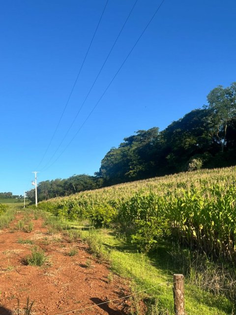 Área Rural 48.400 m² (2 Alqueires) - Linha Ajuricaba
