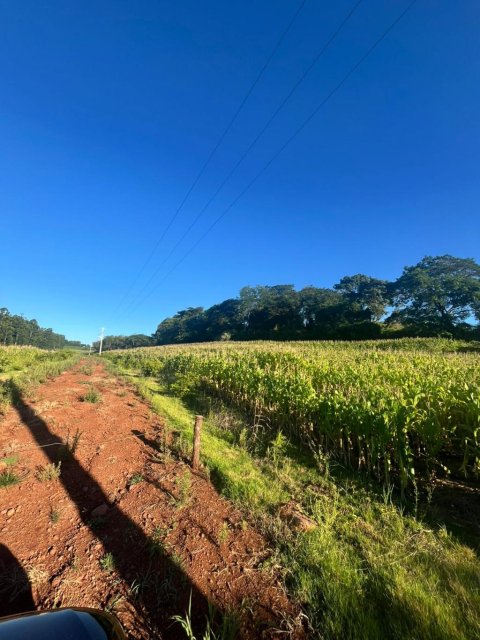 Área Rural 48.400 m² (2 Alqueires) - Linha Ajuricaba