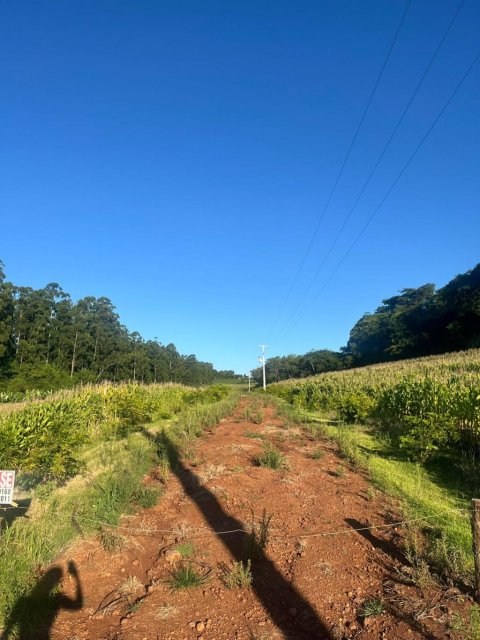 Área Rural 48.400 m² (2 Alqueires) - Linha Ajuricaba
