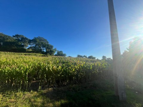 Área Rural 48.400 m² (2 Alqueires) - Linha Ajuricaba