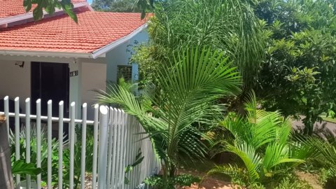 Área Rural 48.400 m² (2 Alqueires) - Linha Ajuricaba