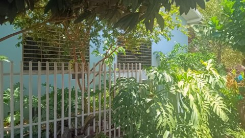 Área Rural 48.400 m² (2 Alqueires) - Linha Ajuricaba