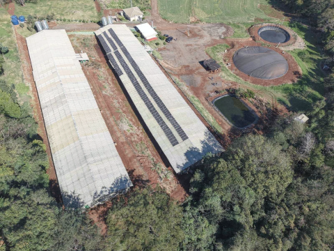 Área Rural/Granja Suínos Crechário 20.700 m² - Quatro Pontes