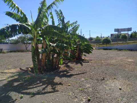 Terreno Comercial 1.336 m² - Centro