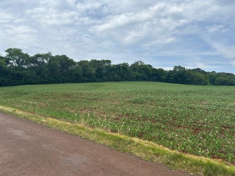Área Rural 140.300 m² (5,80 Alqueires) - Linha Ouro Verde