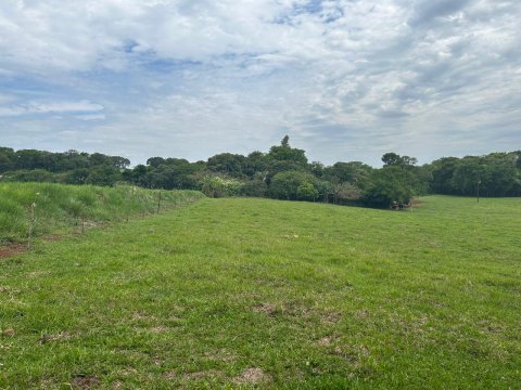 Área Rural 140.300 m² (5,80 Alqueires) - Linha Ouro Verde