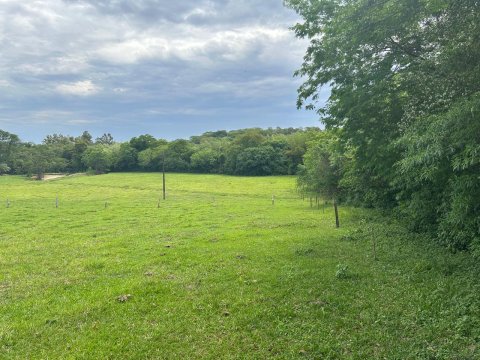 Área Rural 140.300 m² (5,80 Alqueires) - Linha Ouro Verde