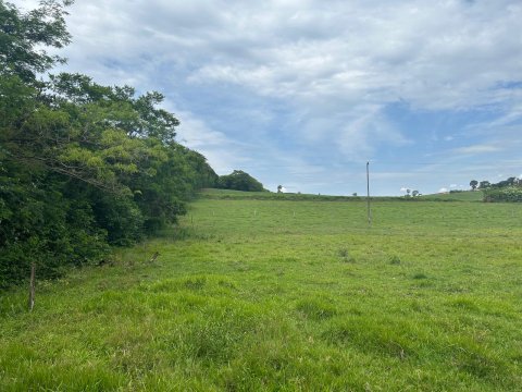 Área Rural 140.300 m² (5,80 Alqueires) - Linha Ouro Verde