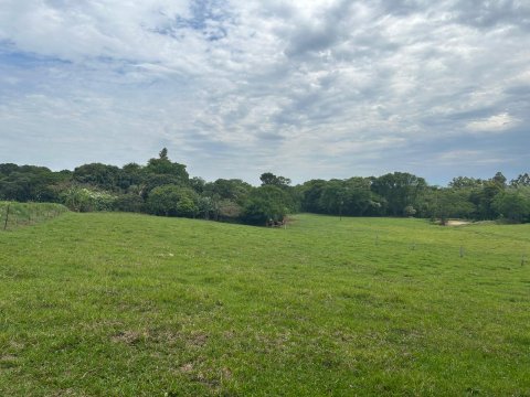 Área Rural 140.300 m² (5,80 Alqueires) - Linha Ouro Verde