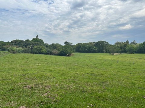 Área Rural 140.300 m² (5,80 Alqueires) - Linha Ouro Verde