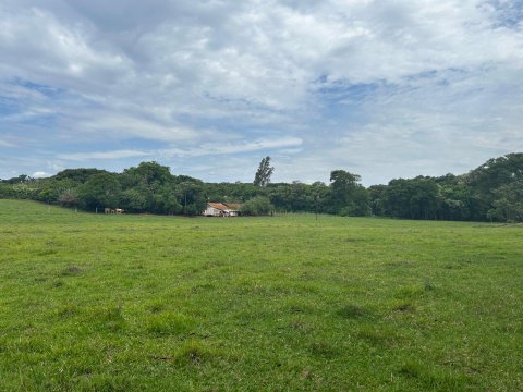 Área Rural 140.300 m² (5,80 Alqueires) - Linha Ouro Verde
