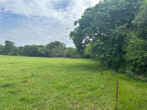 Área Rural 140.300 m² (5,80 Alqueires) - Linha Ouro Verde