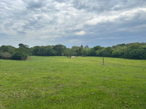 Área Rural 140.300 m² (5,80 Alqueires) - Linha Ouro Verde
