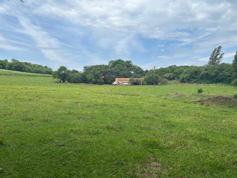Área Rural 140.300 m² (5,80 Alqueires) - Linha Ouro Verde