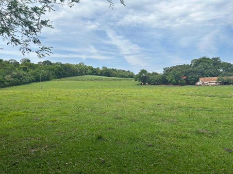 Área Rural 140.300 m² (5,80 Alqueires) - Linha Ouro Verde