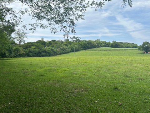 Área Rural 140.300 m² (5,80 Alqueires) - Linha Ouro Verde