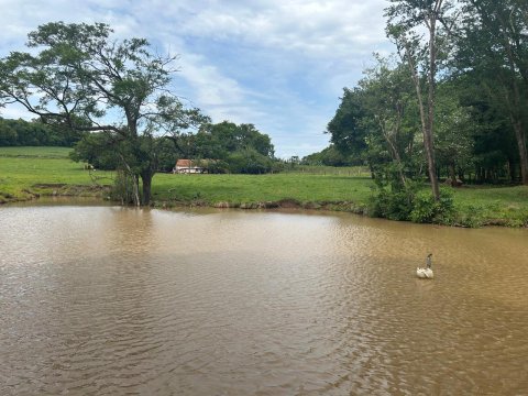 Área Rural 140.300 m² (5,80 Alqueires) - Linha Ouro Verde