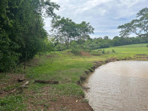Área Rural 140.300 m² (5,80 Alqueires) - Linha Ouro Verde