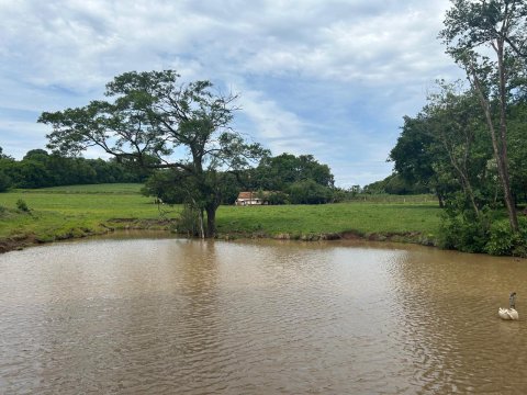 Área Rural 140.300 m² (5,80 Alqueires) - Linha Ouro Verde