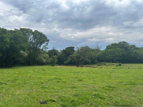 Área Rural 140.300 m² (5,80 Alqueires) - Linha Ouro Verde