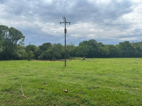 Área Rural 140.300 m² (5,80 Alqueires) - Linha Ouro Verde