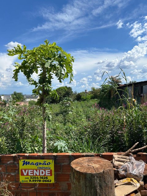 Terreno 900 m² - Lot. Dona Amélia