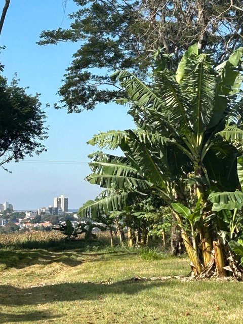 Área Rural 27.000 m² (1,116 Alqueires) - Linha Peróba
