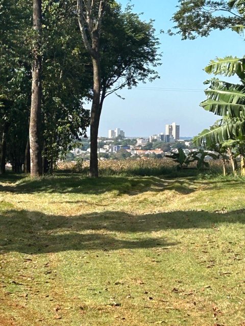 Área Rural 27.000 m² (1,116 Alqueires) - Linha Peróba