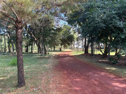 Área Rural 27.000 m² (1,116 Alqueires) - Linha Peróba