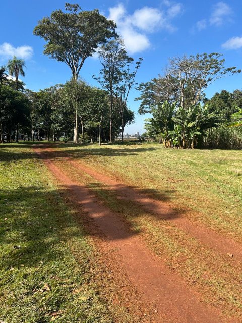 Área Rural 27.000 m² (1,116 Alqueires) - Linha Peróba