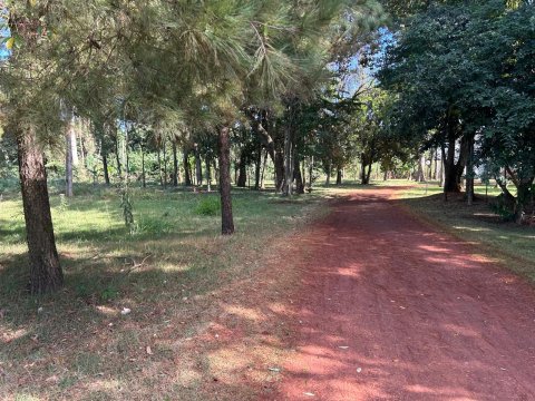 Área Rural 27.000 m² (1,116 Alqueires) - Linha Peróba