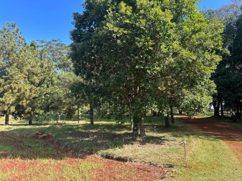 Área Rural 27.000 m² (1,116 Alqueires) - Linha Peróba