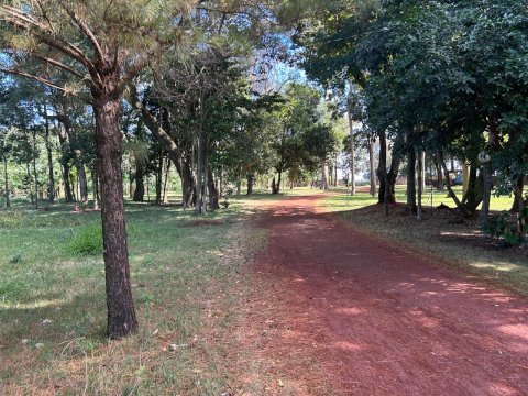 Área Rural 27.000 m² (1,116 Alqueires) - Linha Peróba