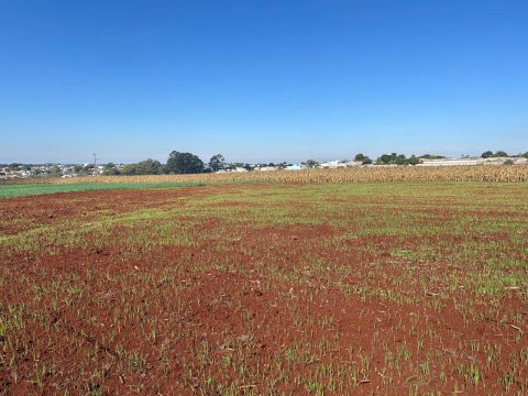 Área Rural 27.000 m² (1,116 Alqueires) - Linha Peróba