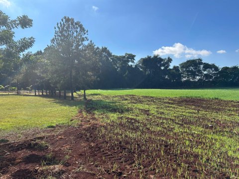 Área Rural 27.000 m² (1,116 Alqueires) - Linha Peróba