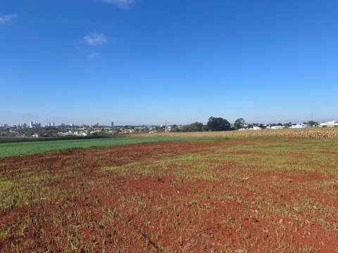 Área Rural 27.000 m² (1,116 Alqueires) - Linha Peróba