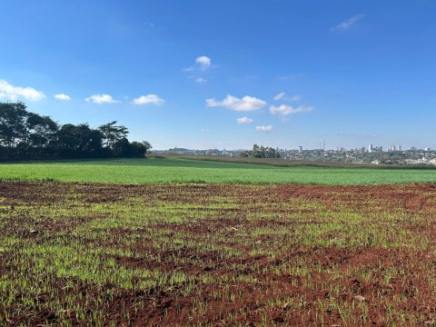 Área Rural 27.000 m² (1,116 Alqueires) - Linha Peróba