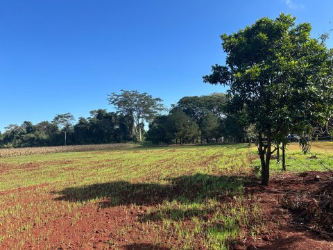Área Rural 27.000 m² (1,116 Alqueires) - Linha Peróba