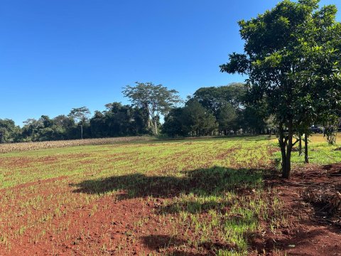 Área Rural 27.000 m² (1,116 Alqueires) - Linha Peróba