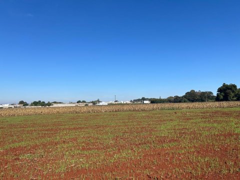 Área Rural 27.000 m² (1,116 Alqueires) - Linha Peróba
