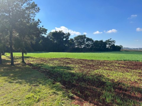 Área Rural 27.000 m² (1,116 Alqueires) - Linha Peróba