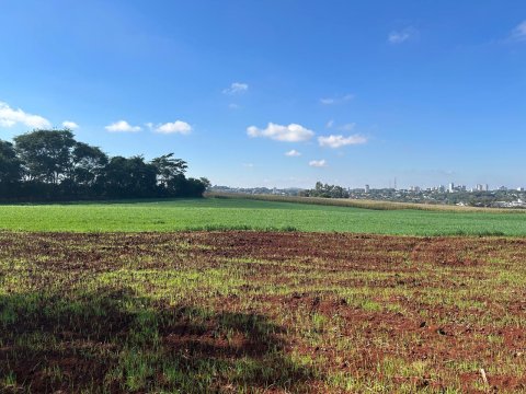 Área Rural 27.000 m² (1,116 Alqueires) - Linha Peróba