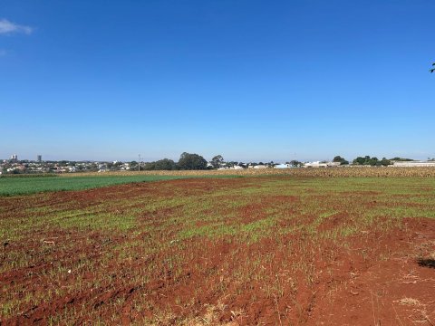 Área Rural 27.000 m² (1,116 Alqueires) - Linha Peróba