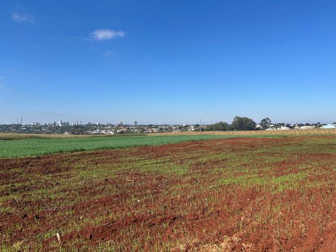 Área Rural 27.000 m² (1,116 Alqueires) - Linha Peróba