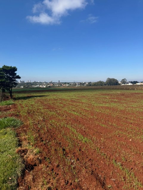 Área Rural 27.000 m² (1,116 Alqueires) - Linha Peróba