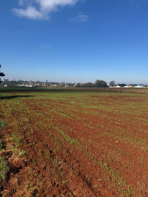 Área Rural 27.000 m² (1,116 Alqueires) - Linha Peróba