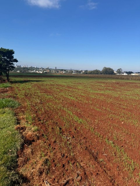 Área Rural 27.000 m² (1,116 Alqueires) - Linha Peróba
