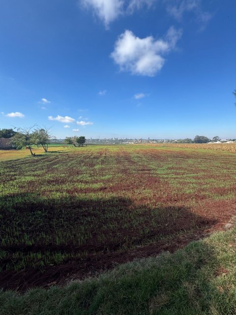 Área Rural 27.000 m² (1,116 Alqueires) - Linha Peróba