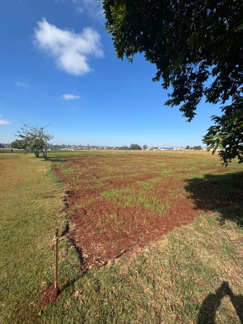 Área Rural 27.000 m² (1,116 Alqueires) - Linha Peróba